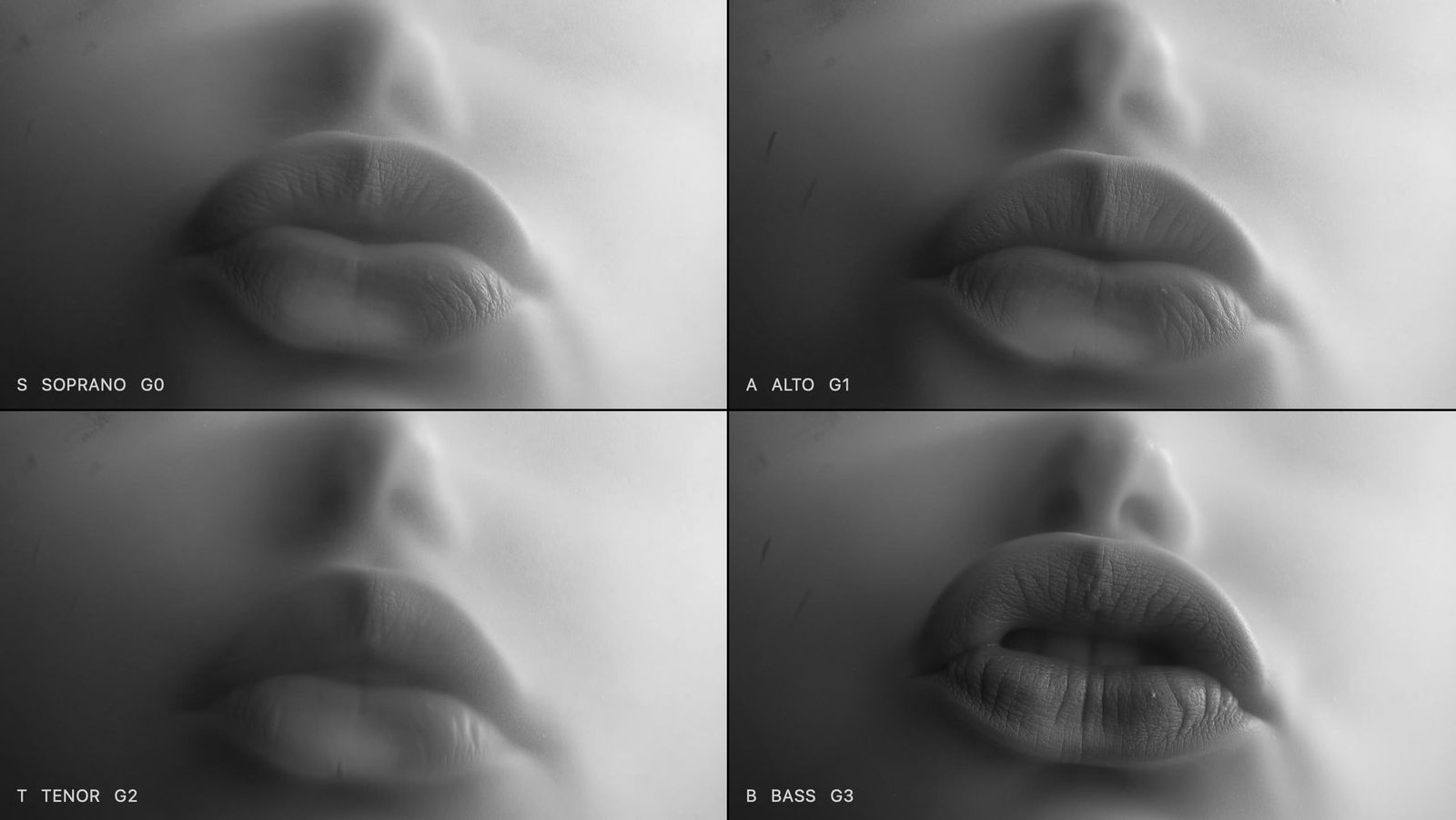 Sample image: mouths behind a membrane, in panels labelled soprano, alto, tenor and bass.