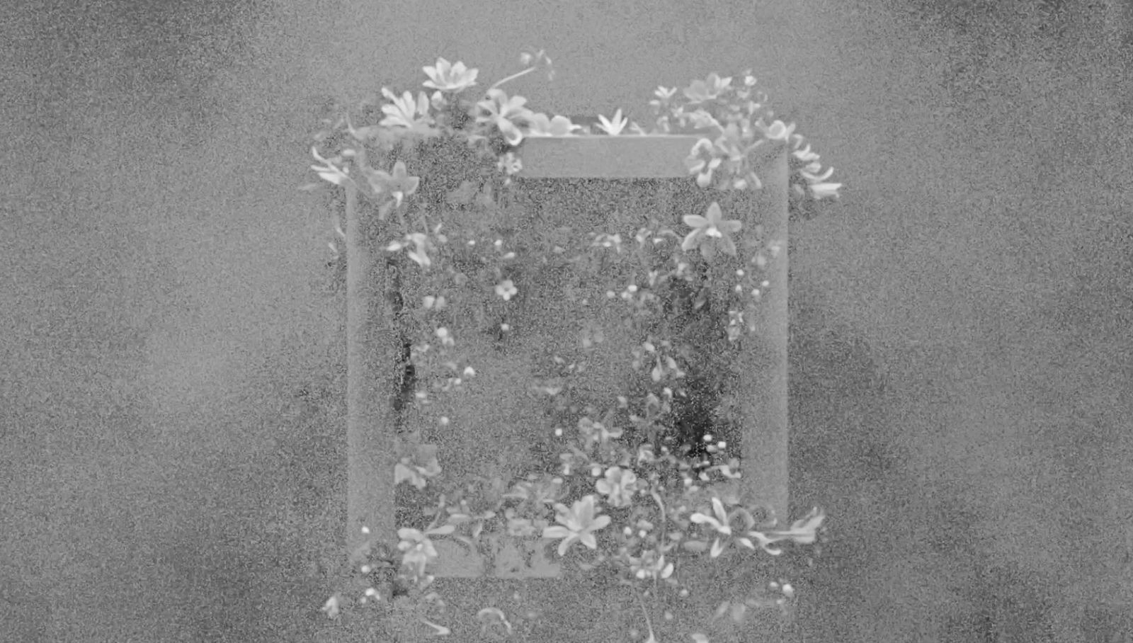 RêVeRie: a rectangular frame overgrown with flowers, on a grainy grey ground.